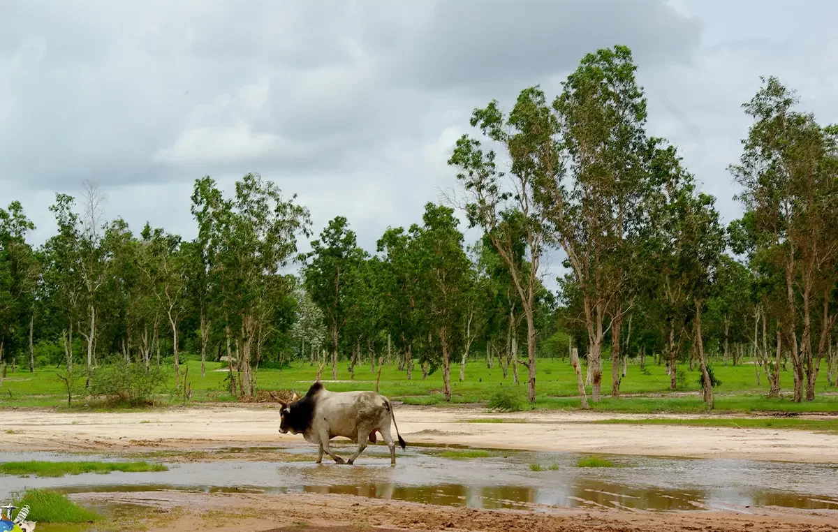 Casamance, Sénégal